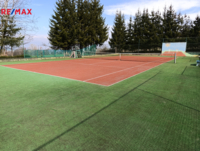 REMAX Delux