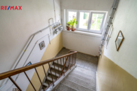 REMAX Delux
