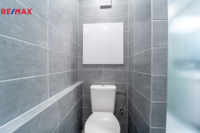 REMAX Delux