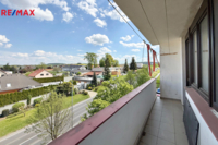 REMAX Delux