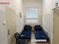 REMAX Delux