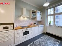 REMAX Delux