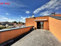 REMAX Delux