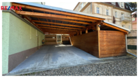 REMAX Delux