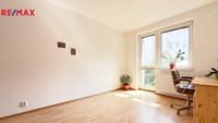 REMAX Delux
