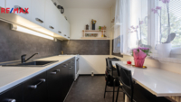 REMAX Delux