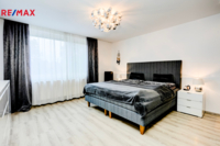 REMAX Delux