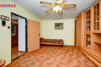 REMAX Delux
