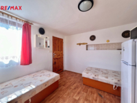 REMAX Delux