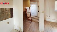 REMAX Delux