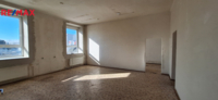 REMAX Delux