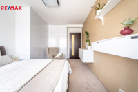 REMAX Delux