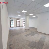 REMAX Brno