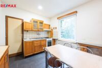 REMAX Delux
