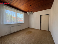 REMAX Delux