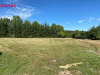 REMAX Brno