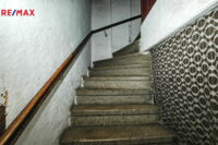 2540686.jpg