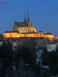 2667657.jpg