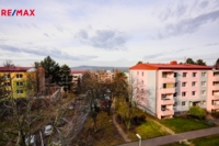 REMAX Delux