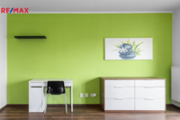 REMAX Delux