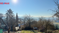 REMAX Delux