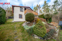 REMAX Delux