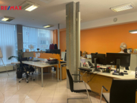 REMAX Delux