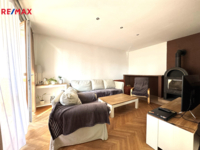 REMAX Delux