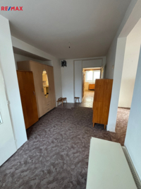 REMAX Delux