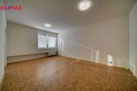 REMAX Delux