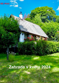 2764460.jpg