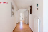 REMAX Delux