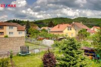 REMAX Delux