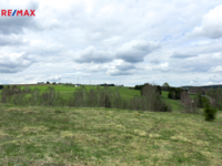 REMAX Delux