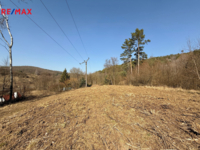 REMAX Delux