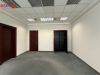 REMAX Delux
