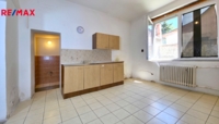 REMAX Delux