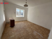 REMAX Delux
