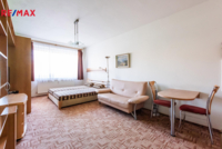 REMAX Delux