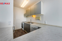 REMAX Delux