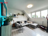 REMAX Delux