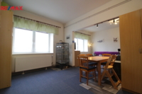 REMAX Delux