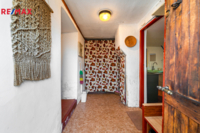 REMAX Delux