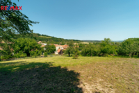 REMAX Delux