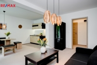REMAX Delux