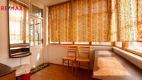 REMAX Delux