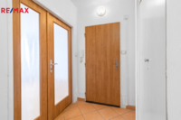 REMAX Delux