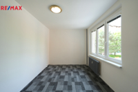 REMAX Delux