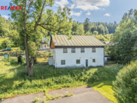 REMAX Delux