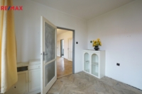 REMAX Delux